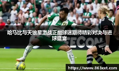 国际足联世界排名官网哈马比与天狼星激战正酣球迷期待精彩对决与进球盛宴
